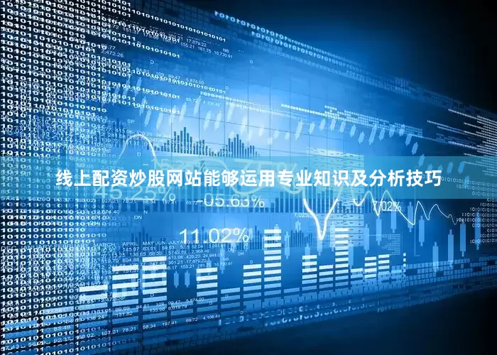 线上配资炒股网站能够运用专业知识及分析技巧