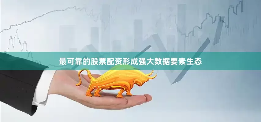 最可靠的股票配资形成强大数据要素生态