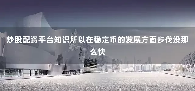 炒股配资平台知识所以在稳定币的发展方面步伐没那么快