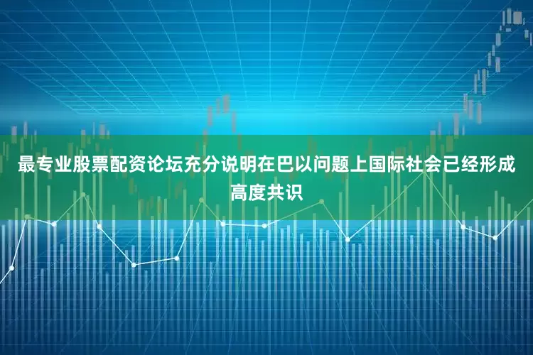 最专业股票配资论坛充分说明在巴以问题上国际社会已经形成高度共识